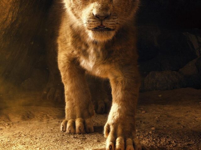 Confirman la secuela de El Rey León y ya tiene director.