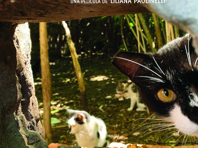 El Baldío de Liliana Paolinelli. Crítica.