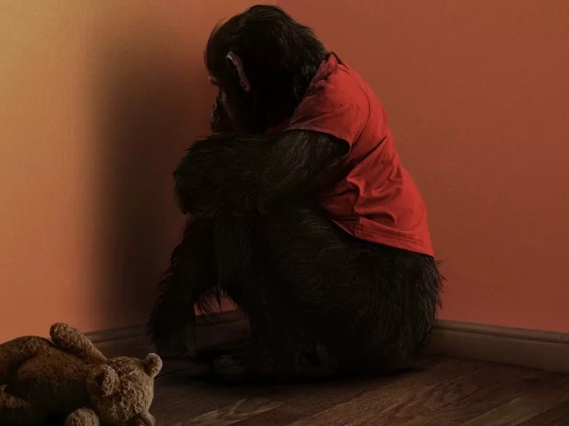 Primate: encierro, rabia y supervivencia