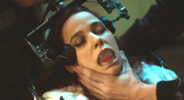 Los Bobos: La obediencia como sistema, la rebeldía como anomalía